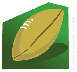 american football punt