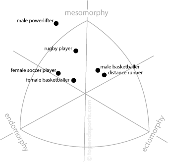 Somatotype Chart showing sport ratings