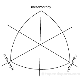 blank somatograph chart